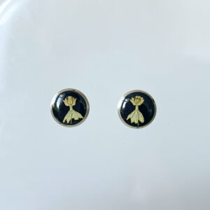 Sztyfty - kwiaty Calineczki na czarnym tle