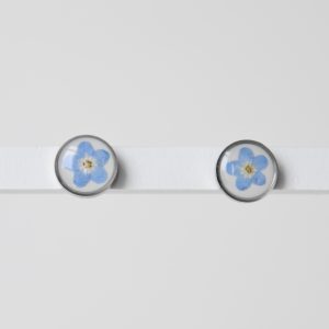 Sztyfty z niezapominajką na białym tle