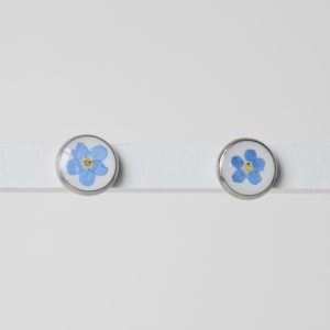 Sztyfty z niezapominajką na białym tle